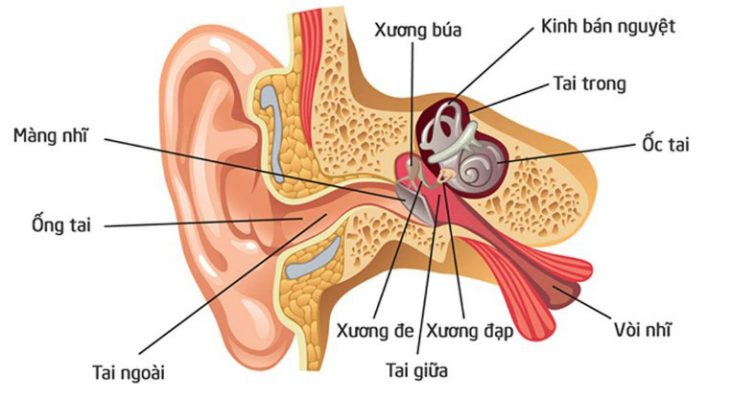 Sử dụng tai nghe